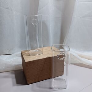 Elegant Clear Glass Vases
